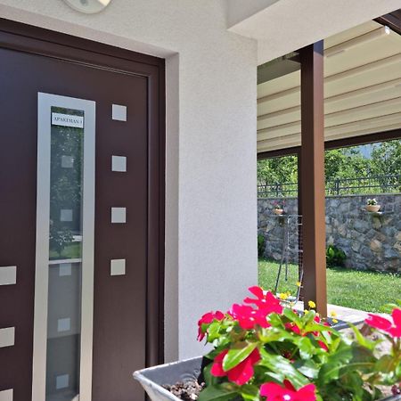 Apartmani Nika 1 غييكا المظهر الخارجي الصورة
